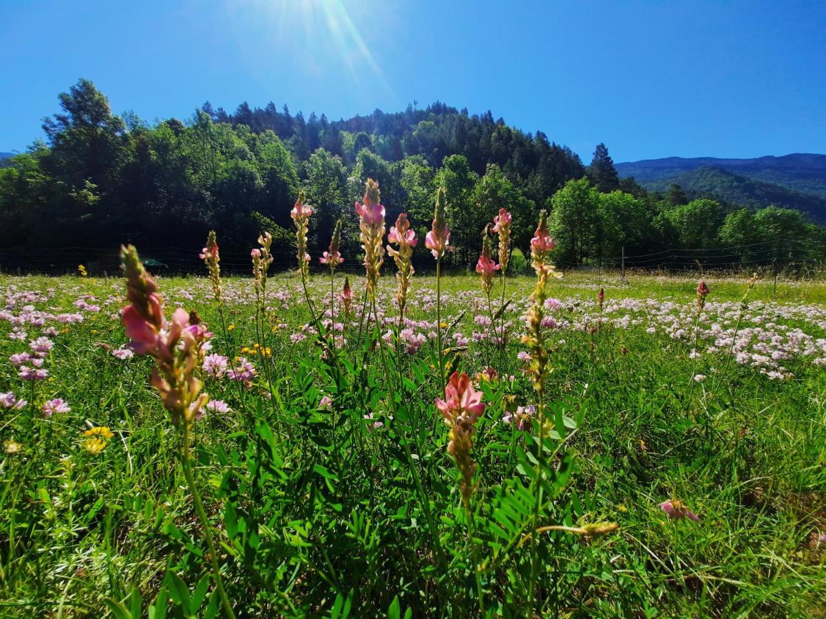 La Bergerie A Menee Hotel Châtillon-en-Diois Kültér fotó
